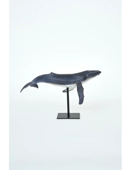  ballena jorobada con soporte