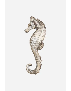 CABALLITO DE MAR