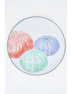 plato grande gres erizos 