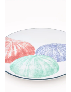 plato grande gres erizos  2