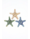estrellas de mar en ceramica 