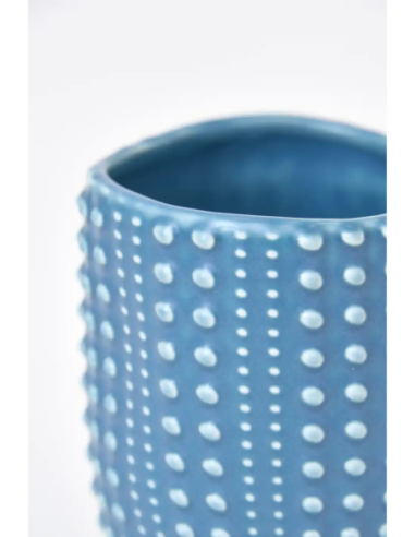 taza café erizo de mar 