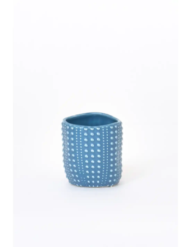  taza café erizo de mar 