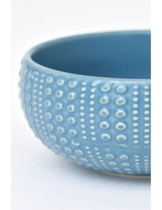 bol erizo de mar  2