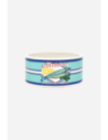 bol anchoas vintage 