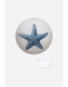 cuenco estrella de mar 