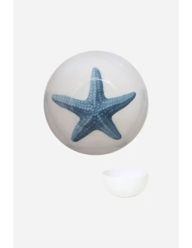 cuenco estrella de mar 