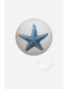 cuenco estrella de mar 