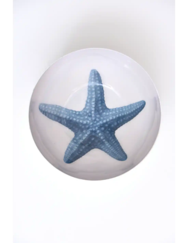  cuenco estrella de mar 
