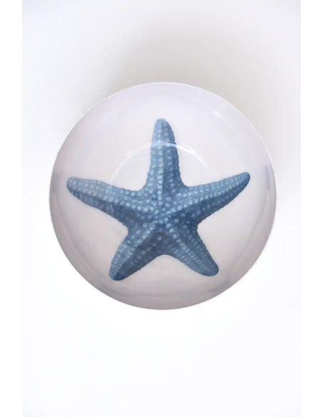  cuenco estrella de mar 