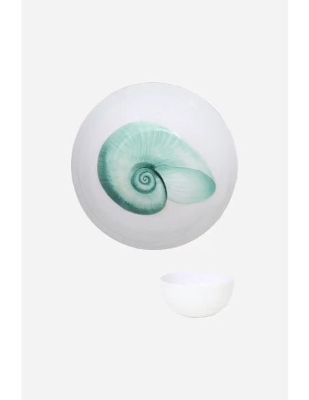 cuenco nautilo 
