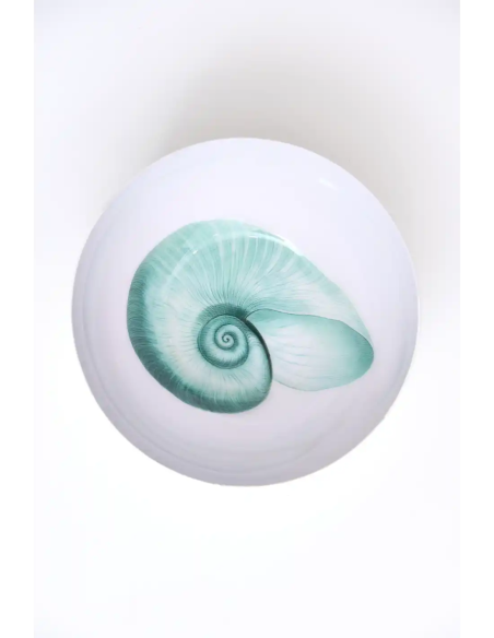  cuenco nautilo 