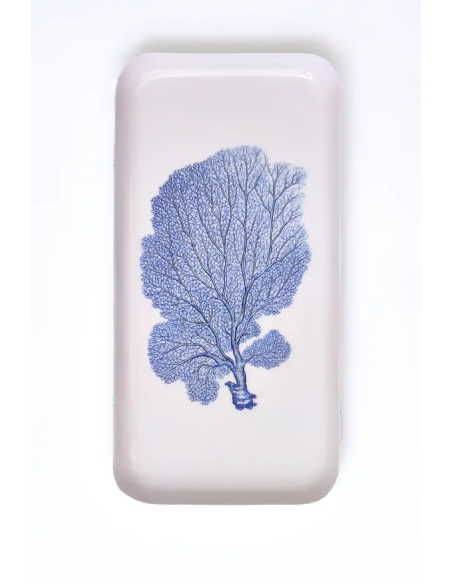 gorgonia azul 