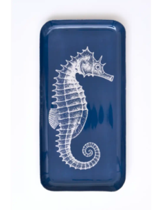 caballito de mar 