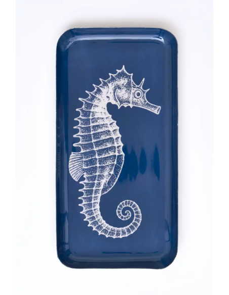 caballito de mar 