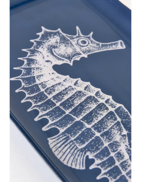  caballito de mar 