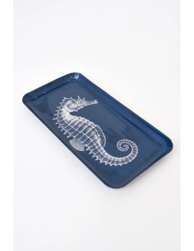  caballito de mar 