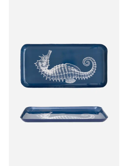  caballito de mar 