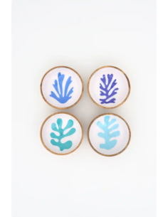 set mini boles algas  2