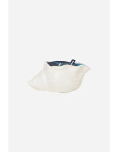 vela concha blanca  2