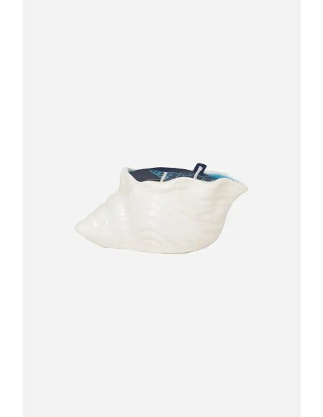  vela concha blanca 