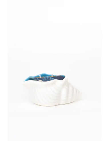  vela concha blanca 