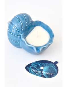 vela concha azul grande 