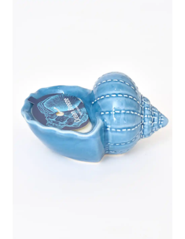  vela concha azul grande 