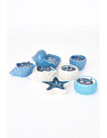  vela concha azul grande