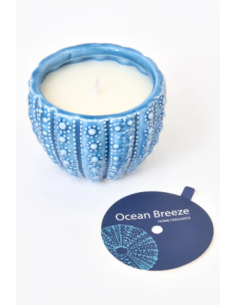 vela azul marino erizo de mar 
