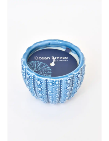  vela azul marino erizo de mar 