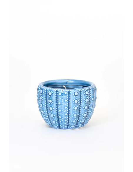  vela azul marino erizo de mar 