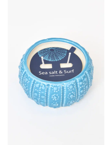  vela erizo de mar azul 
