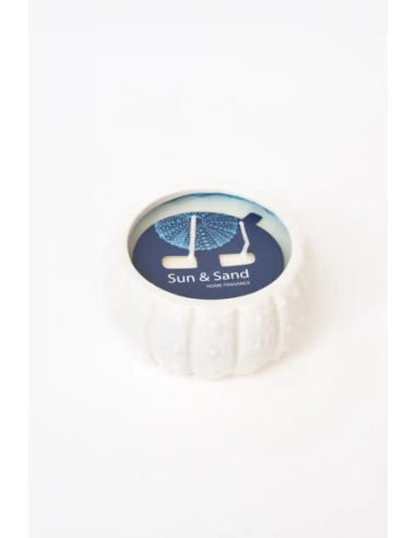  vela erizo de mar blanca 