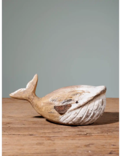 ballena pequeña 