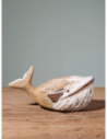 ballena pequeña 