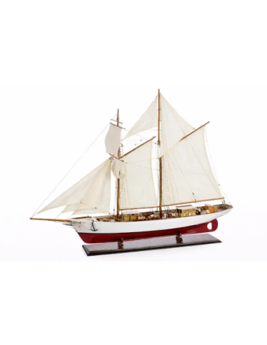 velero l'étoile