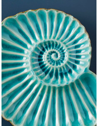  plato nautilus 