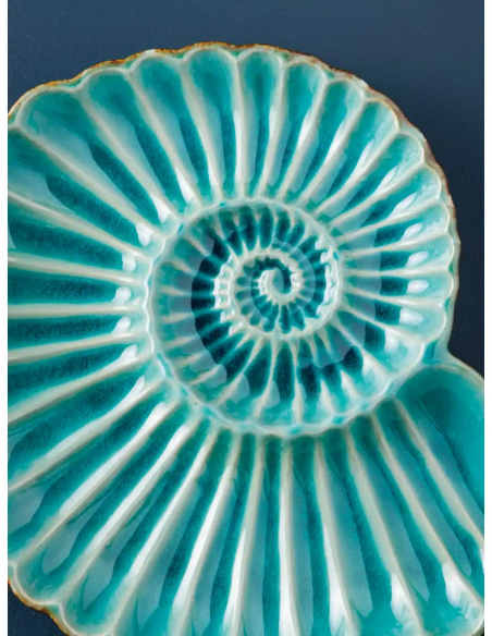  plato nautilus 