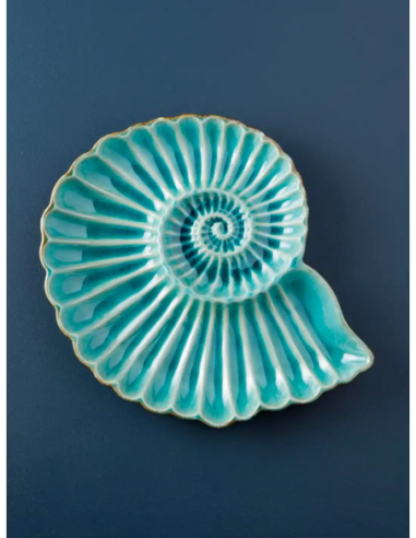  plato nautilus 