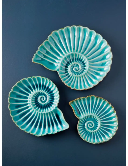  plato nautilus