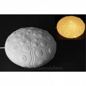 Lámpara erizo de mar porcelana