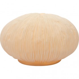 Lámpara coral marinera artesana