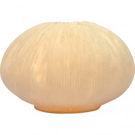 Coral lámpara marinera ornamental