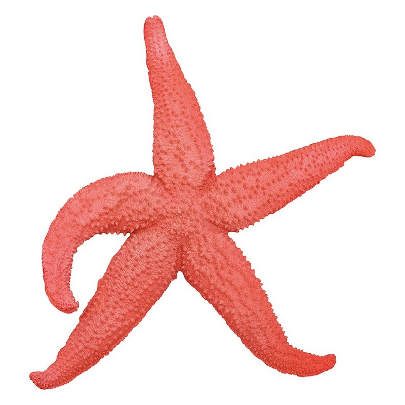 Estrella de mar decorativa resina