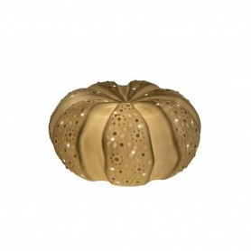 Lámpara erizo de mar decorativo