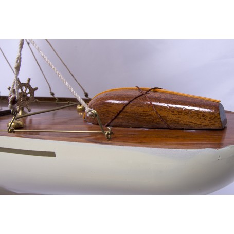 Maqueta semi montada Rainbow