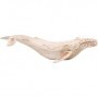 ballena blanca madera