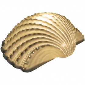 lámpara concha de mar