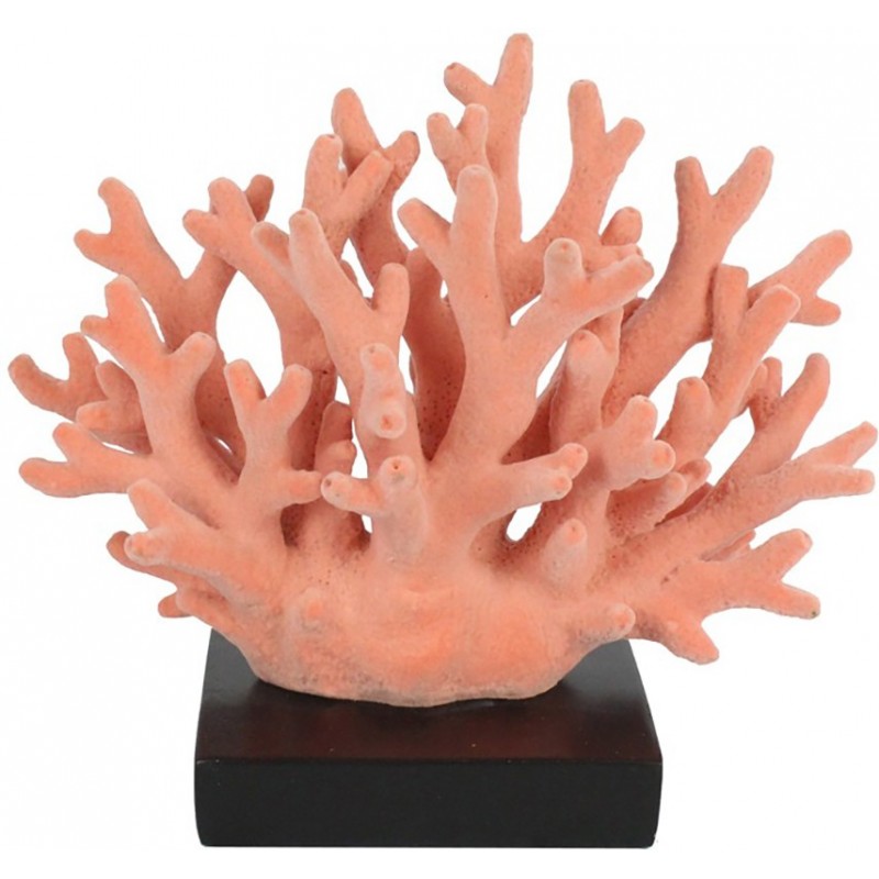 Coral marino decorativo